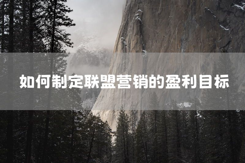 如何制定联盟营销的盈利目标
