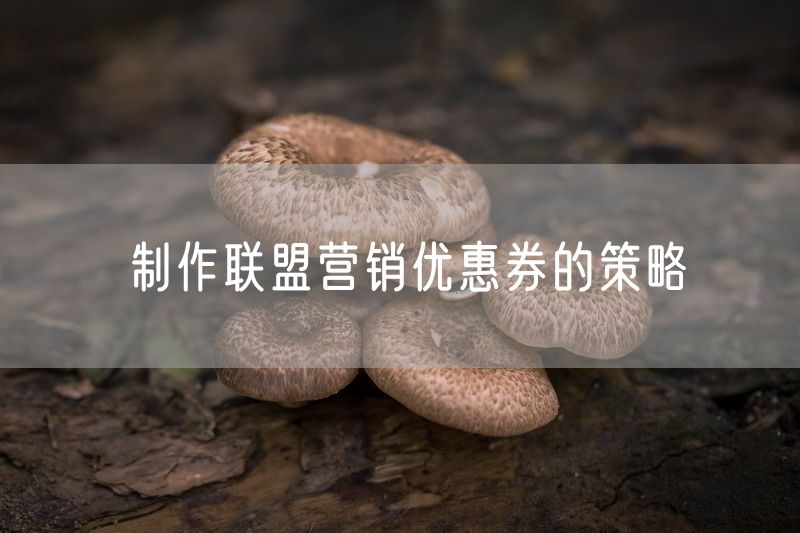 制作联盟营销优惠券的策略