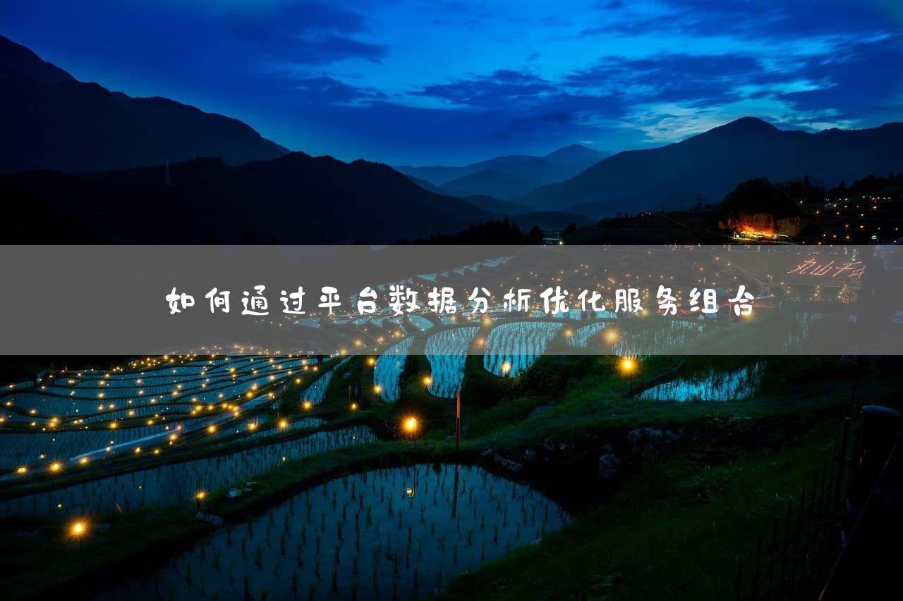 如何通过平台数据分析优化服务组合