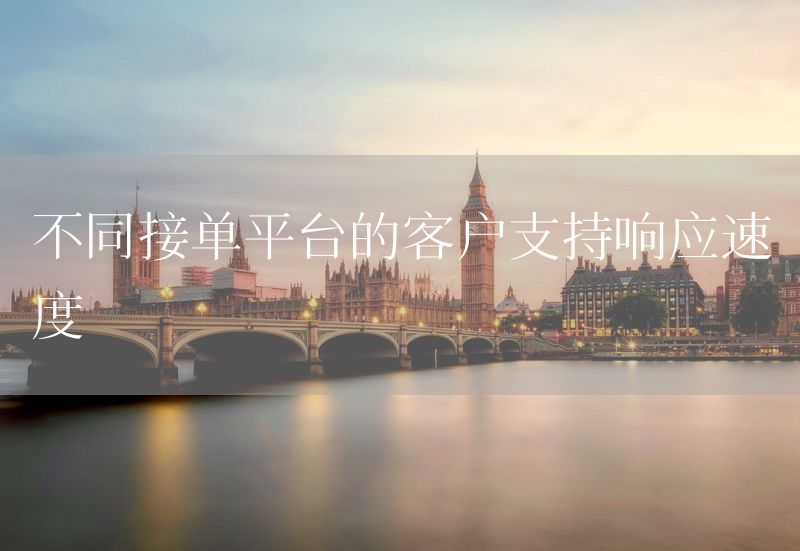不同接单平台的客户支持响应速度