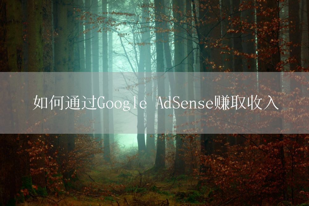如何通过Google AdSense赚取收入