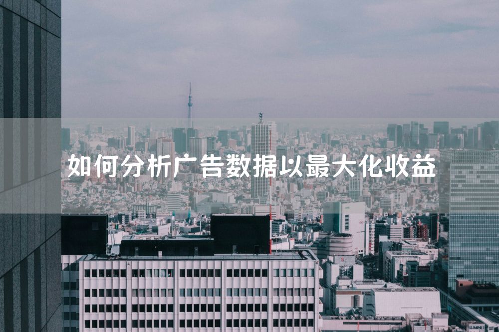 如何分析广告数据以最大化收益