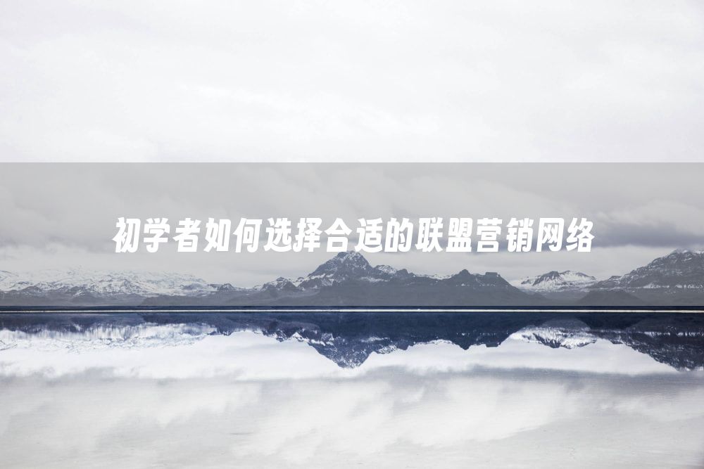 初学者如何选择合适的联盟营销网络