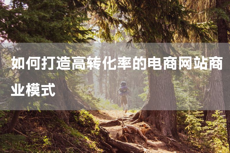 如何打造高转化率的电商网站商业模式