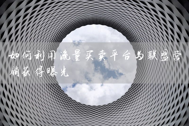 如何利用流量买卖平台为联盟营销获得曝光