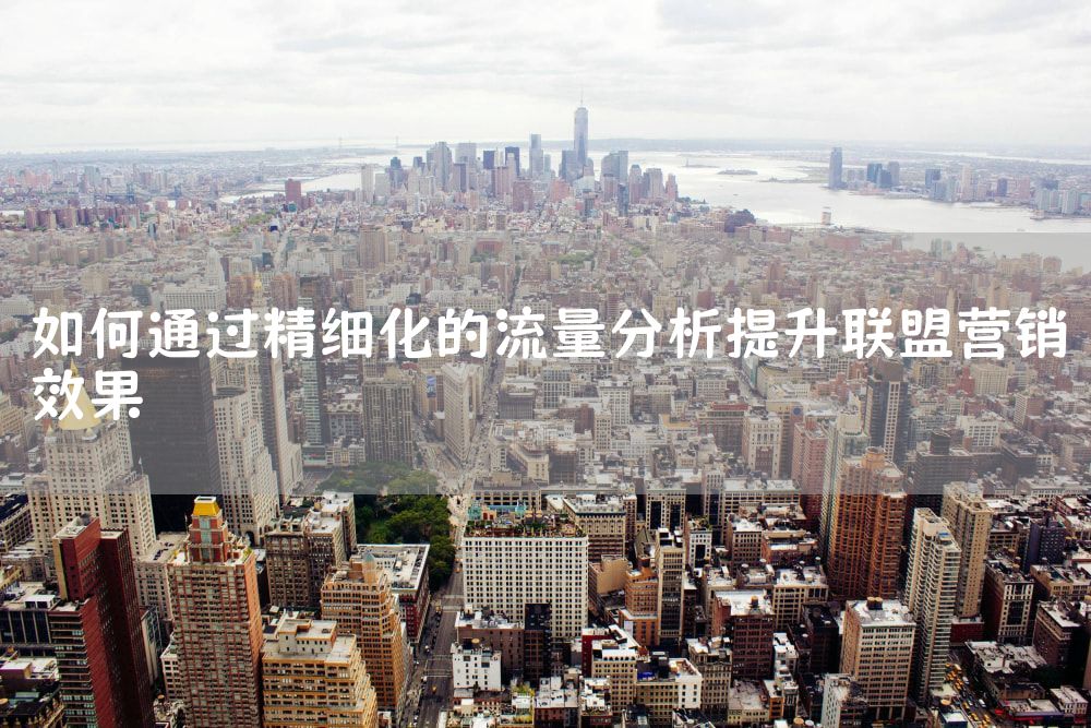 如何通过精细化的流量分析提升联盟营销效果
